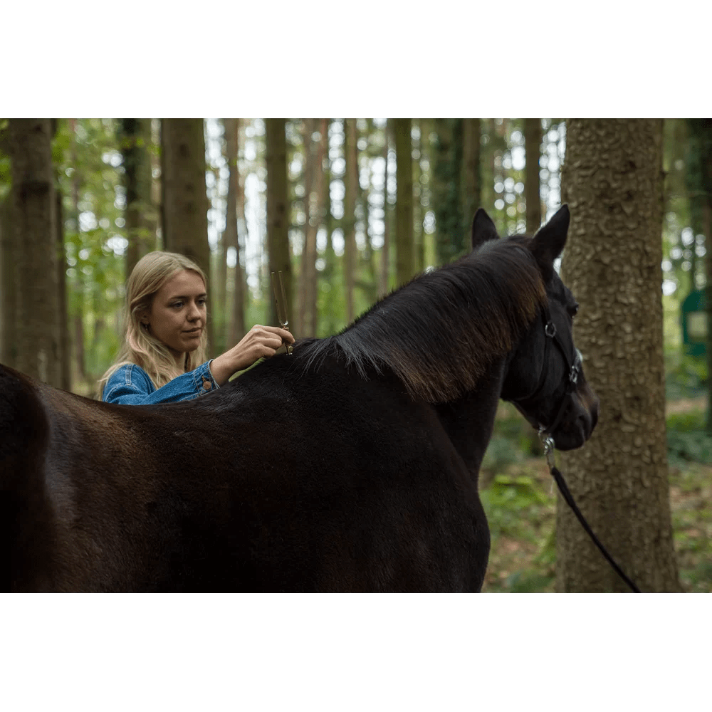 Accessori Diapason: piedino piatto piccolo - VibraSonic